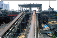 Material handling conveyor belt
